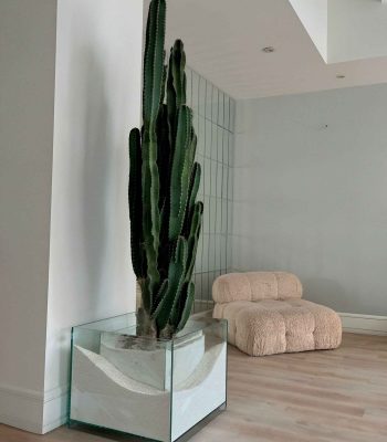 گلدان شیشه ای یووی